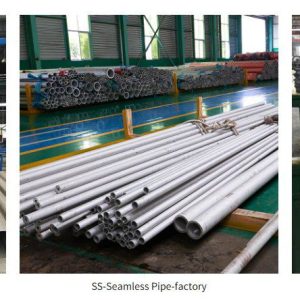 ASTM/AISI 1566 Steel Round Bar for Spring